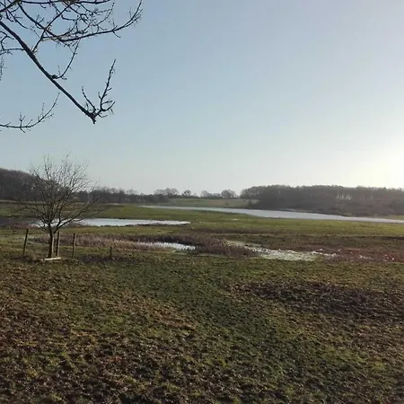 Seegaard * Husby (Schleswig-Flensburg)